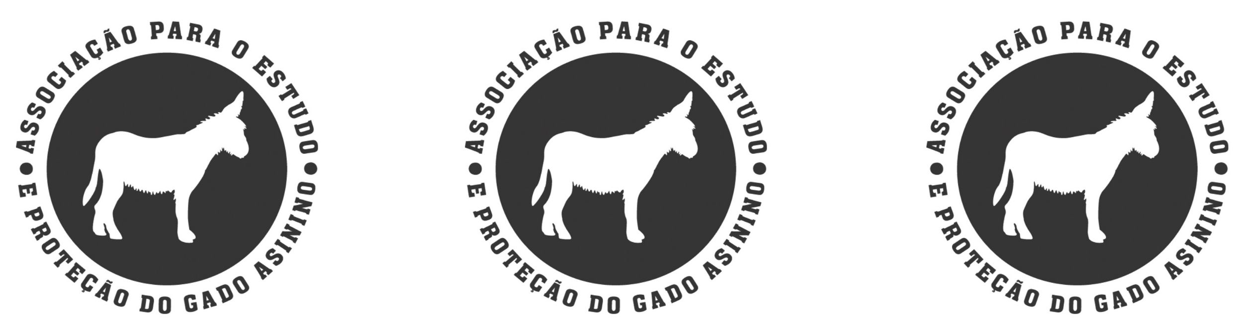 Alunos do 4.º ano apadrinham um Burro Mirandês